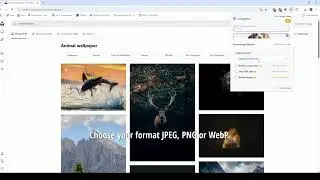 ImagePro Batch Downloader