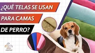¿Qué telas se usan para camas para perros? | Las mejores Camas | Arletex
