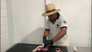 Como limpar língua de boi