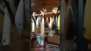 Greg Vinson Bass Cave Short