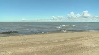 Lake Erie beaches closed for swimming more often due to wet spring