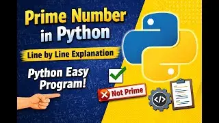 Check Prime Number in Python | Prime Number Program Explained Line by Line