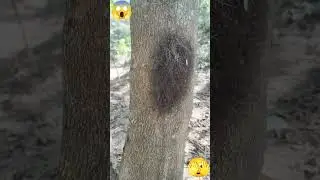 First Time Gost Feeling in my LifeTime #horror#viral#travel#trinding#shorts#reels #instagram# #love