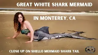 California Mermaid - Monterey Bay - Shark Mermaid - Mermaid Photoshoot Video
