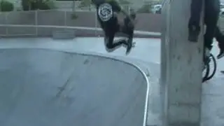 Steez promo