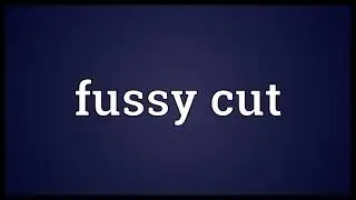 Fussy cut Meaning