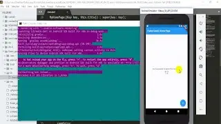 First Flutter App, Build your first flutter app