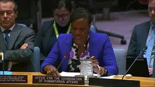 United Nations Security Council, 10,094th Meeting - Situation in the Middle East (Syria)