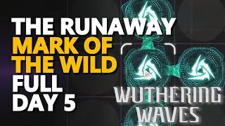 The Runaway Expert Wuthering Waves