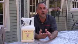 Introducing Pro-Pell Rodent Repellent for Exterminators