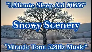 [3-Minute Sleep Aid #0656] Ultimate Rest for Astonishing Healing Effects [Miracle 528Hz]