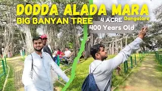 Dodda Alada Mara Bangalore | Big Banyan Tree in Bangalore | 400 Years Old Tree
