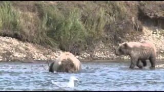 Iliamna River Lodge, Rainbow River Lodge, Alaska - 3