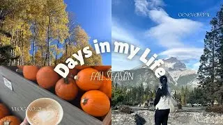 Days in my Life- Fall folliage, Johnston Canyon, Banff, Autumn in Calgary, Thanksgiving