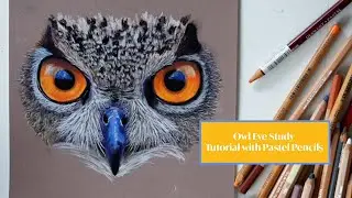 Owl Eye Study in Pastel Pencils | Realistic Animal Eye Tutorial + Timelapse
