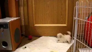 MOV08708