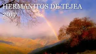 HERMANITOS DE TEJEA 2017 video