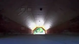 Trefoil Arch