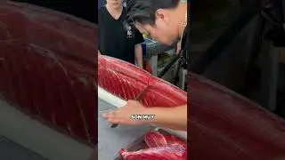 At&uacute;n Entero Vs At&uacute;n Enlatado 🤔