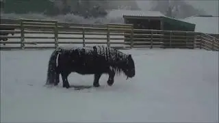 A snowy Day