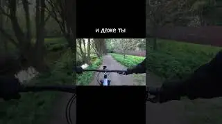 Shimano MT200 тормоза велосипеда Jamis DAKAR