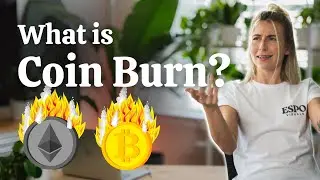 What is Coin Burn? Crypto