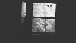 you don't see the night bird fly in the rain