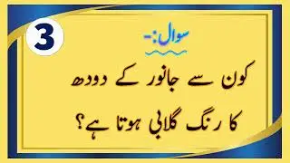 Top Urdu General Knowledge Questions & Answers | GK Quiz 2025 #quiz #generalknowledge L7