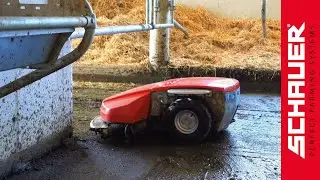 Enro Entmistungsroboter im Milchviehbetrieb!