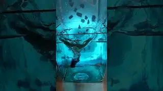 Аква буль Aqua car fall #water #aquarium #car #diecast #fall #toy #blue #аквариум #вода #slowmo