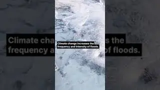 Floods Facts