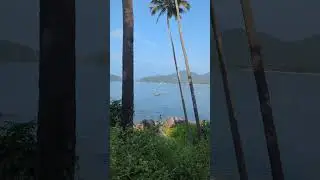 Palolem beach, Goa. 🏖️🫶 #goa #beautiful #beach #memories #status #shorts #peace #nature