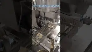 AUTOMATIC NUGGET FORMING MACHINE