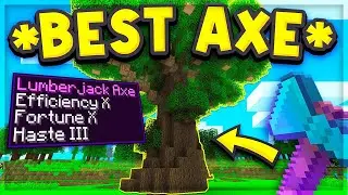 I Got The BEST AXE 🪓 on NEW SKYBLOCK SERVER! *NEW SERIES* | Minecraft Skyblock | TheArchon EP 1