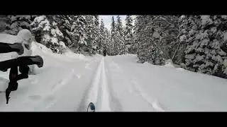 Nordic Backcountry Pursuit