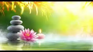 Soothing your soul in calming way