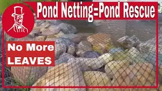 Pond Netting: How to keep pond water cleaner with pond netting