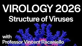 Virology Lectures 2026 #4: Structure of Viruses