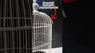Cara Memperbaiki Ruji Sangkar Besi yang sudah Lepas