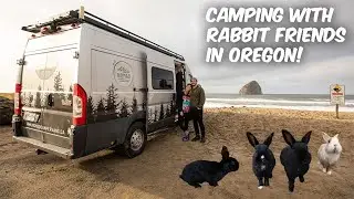 VAN LIFE OREGON COAST: Our Campsite Had Hundreds Of Bunnies! (Camper Van Tour)