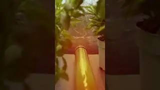 Calefacci&oacute;n para el CULTIVO INDOOR | TUBOS de CALEFACCI&Oacute;N SOLUX | HORTITEC