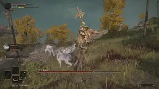 Finally defeating the first Elden Ring boss