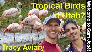 Tropical Birds in Utah? - Tracy Aviary and Botanical Garden at Liberty Park in Salt Lake City, Utah
