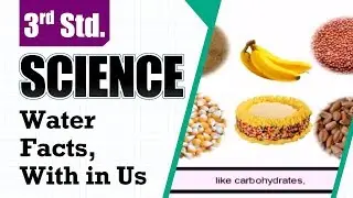 Water || Facts,With in Us || 3rd Std Science || Regular Activities
