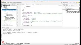 algoDEA - Atomic Transfer Debug using Dry Run Dump file