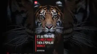 Better be a lonely tiger then a popular monkey