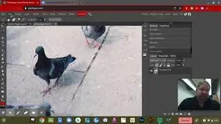 Photopea Lasso Tool Copy/Paste Layers