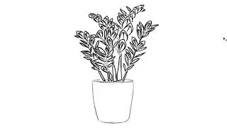 ZZ Plant tribal art