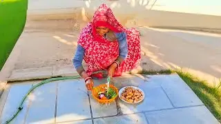લીલી હળદરનું શાક ઉત્તર ગુજરાતનું પ્રખ્યાત 🤔 Lili Haldar nu Shak Vlogs 
