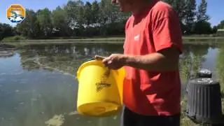Pisciculteur en Dombes